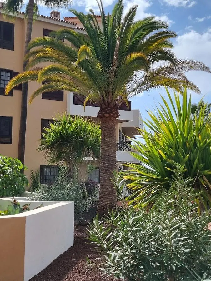 349 Apartamento Golf Del Sur Albatros San Miguel de Abona 0*,